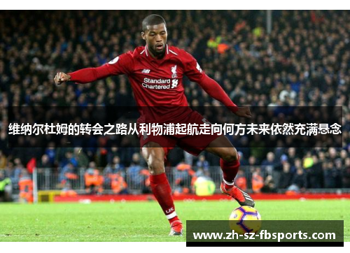 维纳尔杜姆的转会之路从利物浦起航走向何方未来依然充满悬念 维纳尔杜姆的转会之路从利物浦起航走向何方未来依然充满悬念