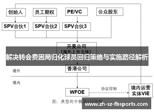 解决转会费困局归化球员回归策略与实施路径解析